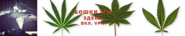 ПСИЛОЦИБИНОВЫЕ ГРИБЫ Алзамай