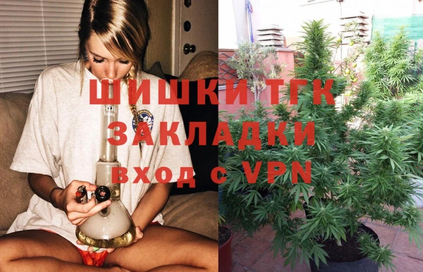 ПСИЛОЦИБИНОВЫЕ ГРИБЫ Алзамай