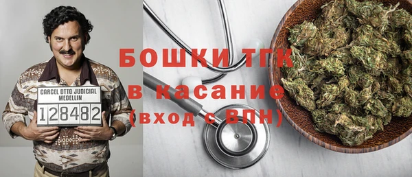 ПСИЛОЦИБИНОВЫЕ ГРИБЫ Алзамай