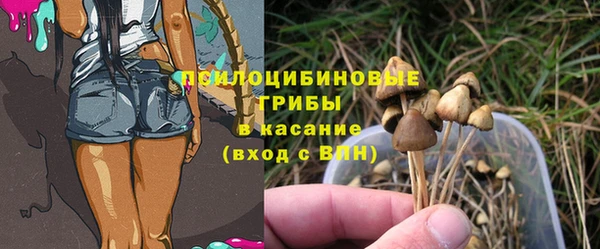 a pvp Алексеевка