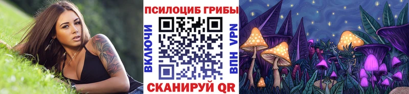 Псилоцибиновые грибы Psilocybe  hydra ссылка  Приморск 
