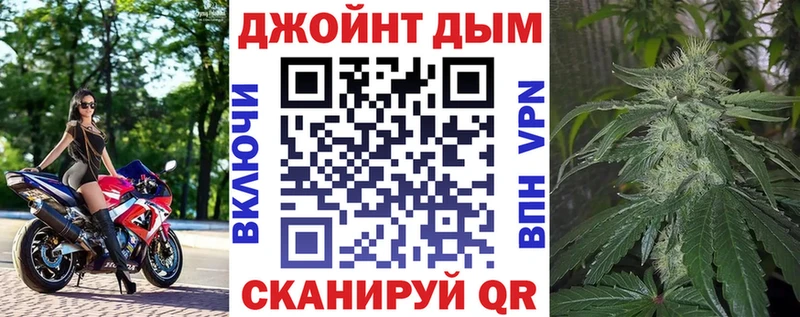 kraken как зайти  Приморск  Шишки марихуана семена 